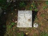 image of grave number 673334